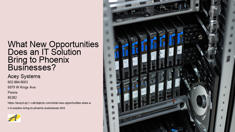 What New Opportunities Does an IT Solution Bring to Phoenix Businesses?